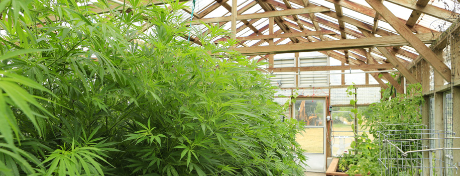 Security Solutions for Apartments in Lehi, UT